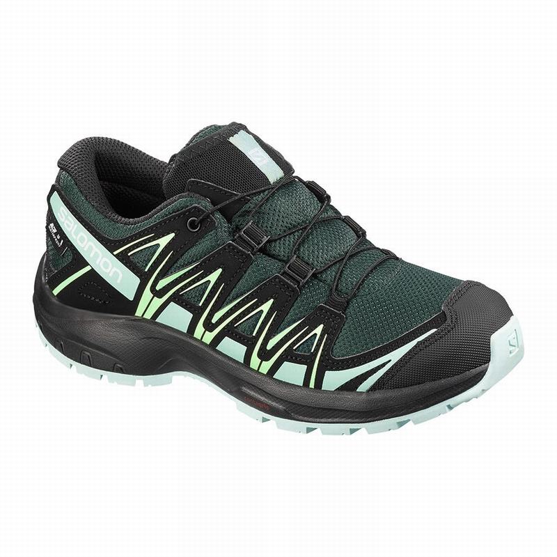 Salomon Israel XA PRO 3D CLIMASALOMON™ WATERPROOF - Kids Trail Running Shoes - Green/Black (VBFS-436